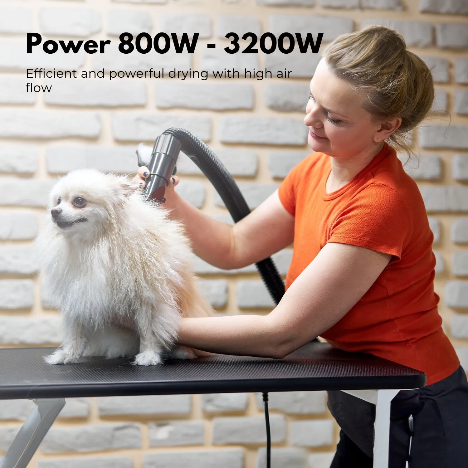 Adjustable Pet Hair Dryer w/ 6 Speeds & LCD - Floofi